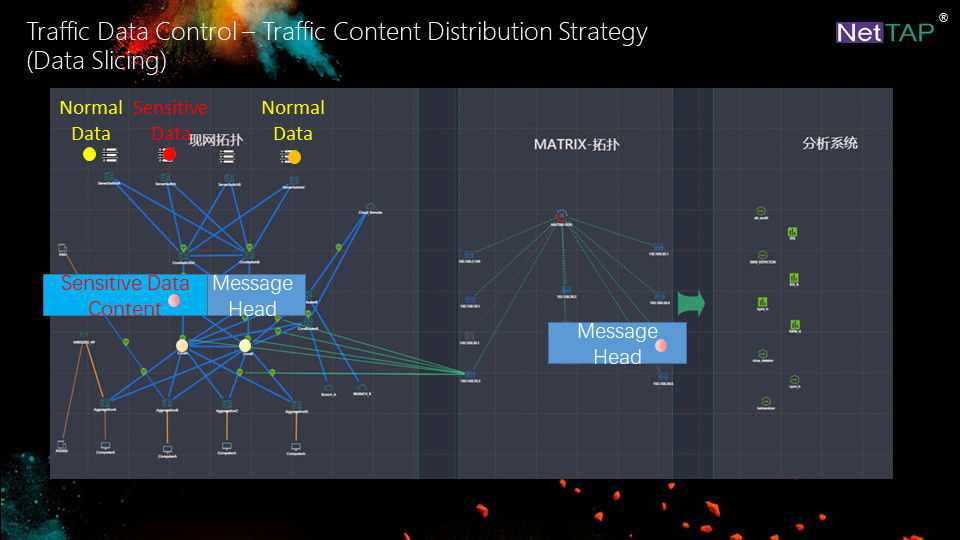 Visibilidad de la red de NetTAP® de la estrategia contenta de la distribución del tráfico para cortar del paquete