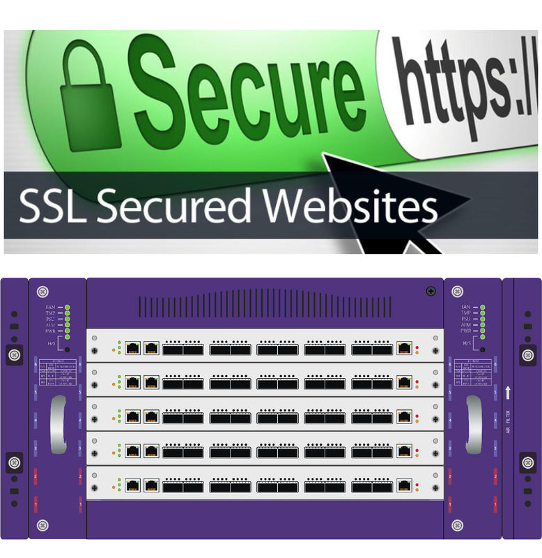 La red neta de la visibilidad golpea ligeramente la penetración de la amenaza seguridad cibernética del monitor del protocolo del HTTP SSL y de TLS